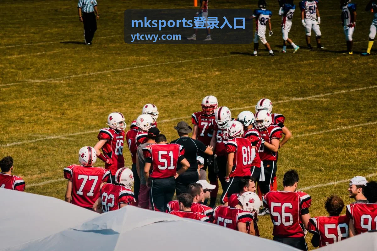 mksports登录入口通道更新时间查看示意