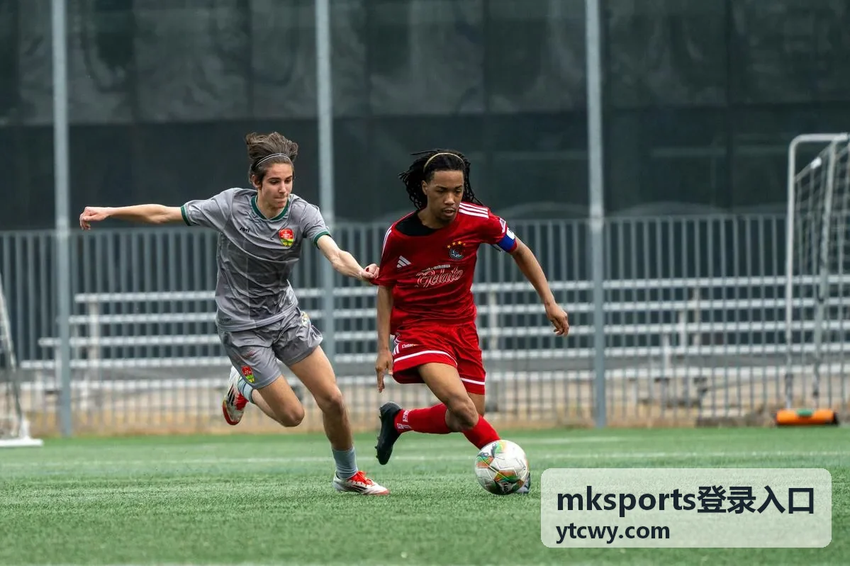 mksports登录入口验证阶段的处理顺序示意